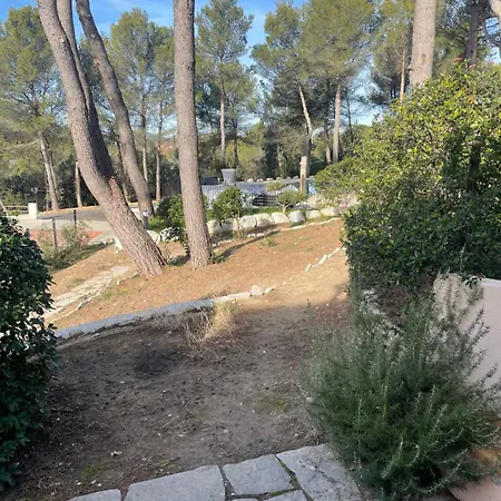 La Pinede Saint-Marcellin-lès-Vaison
